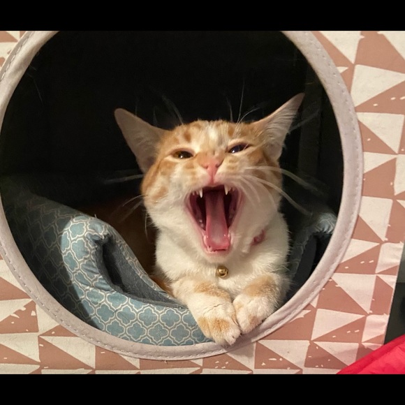 This Holiday Season, I’m Thankful For Your Time & Trust🙏 - Picture 11 of 14